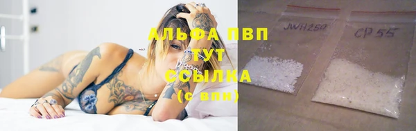 крисы Абдулино